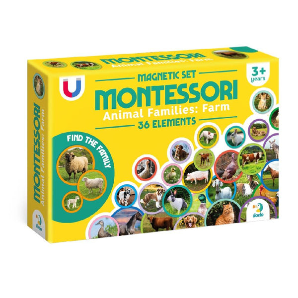 Montessori Magnētiskais komplekts - dažādi veidi