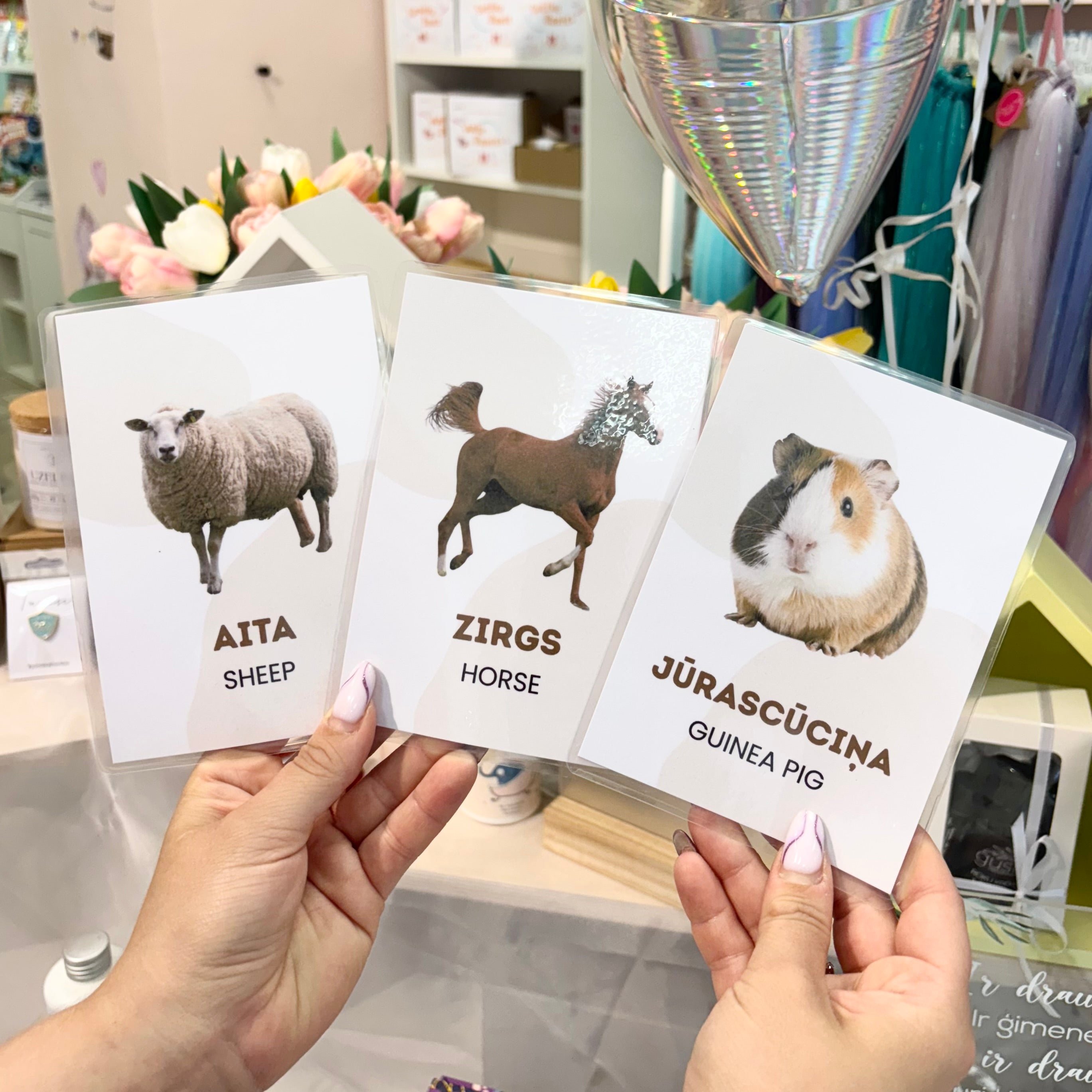 Izglītojošas kartītes bērniem – Mājas dzīvnieki