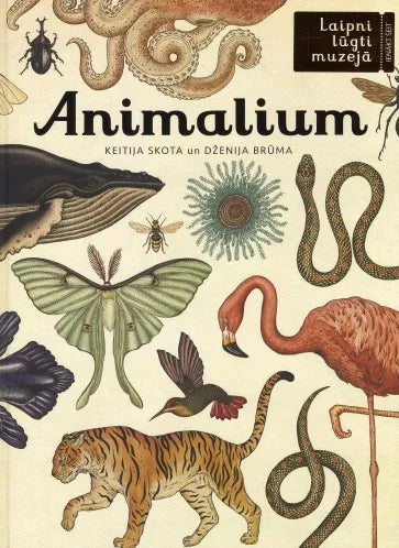 Lielā grāmata - Laipni lūgti muzejā. Animalium