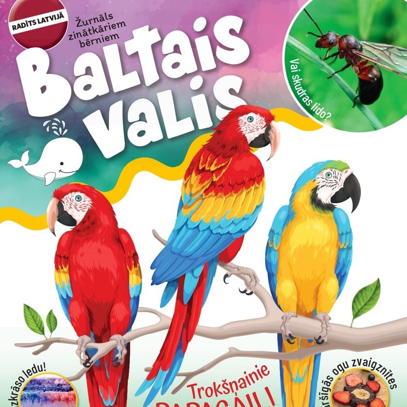 Žurnāls Baltais Valis 2024 Nr.4